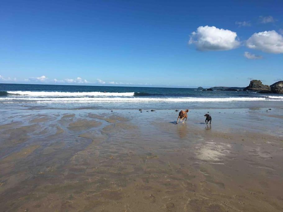 St Agnes Perfect Location, Hot Tub, Sea Views, Gym 아파트 외부 사진